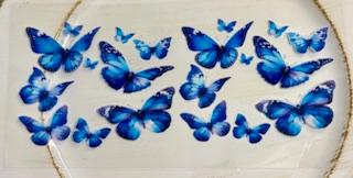 #248 Decal